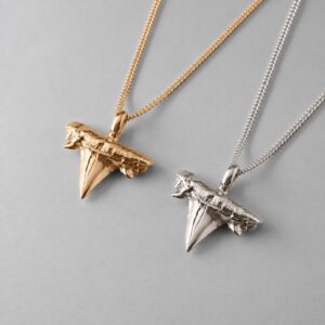 Shark Tooth