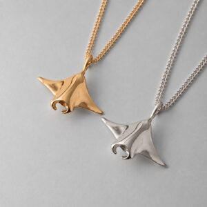 Small Manta Ray