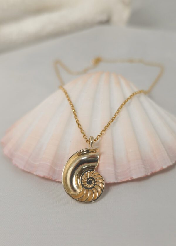 Small Nautilus Shell - Image 2