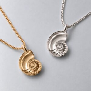 Small Nautilus Shell