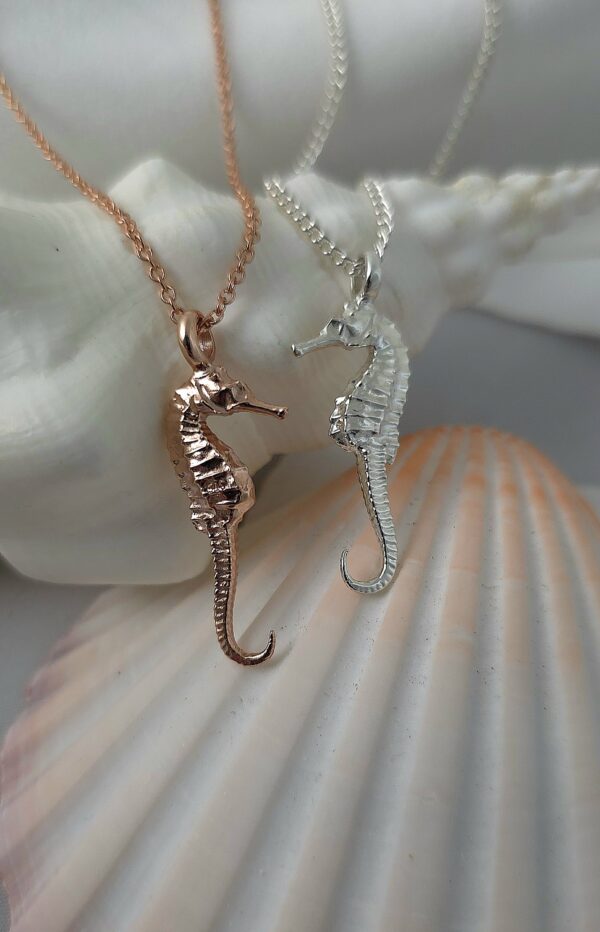 Small Seahorse - Image 7