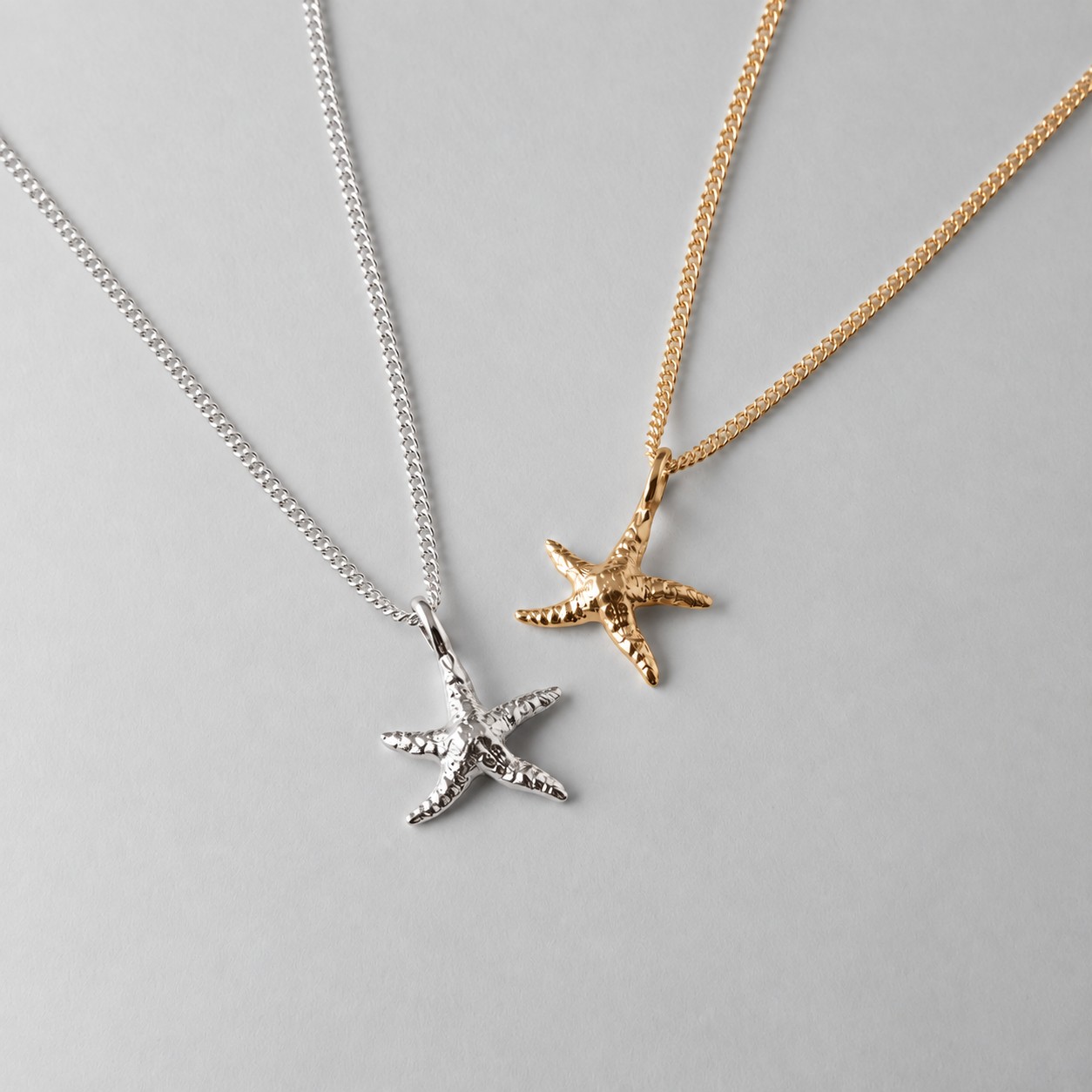 Small Star Fish - Image 2