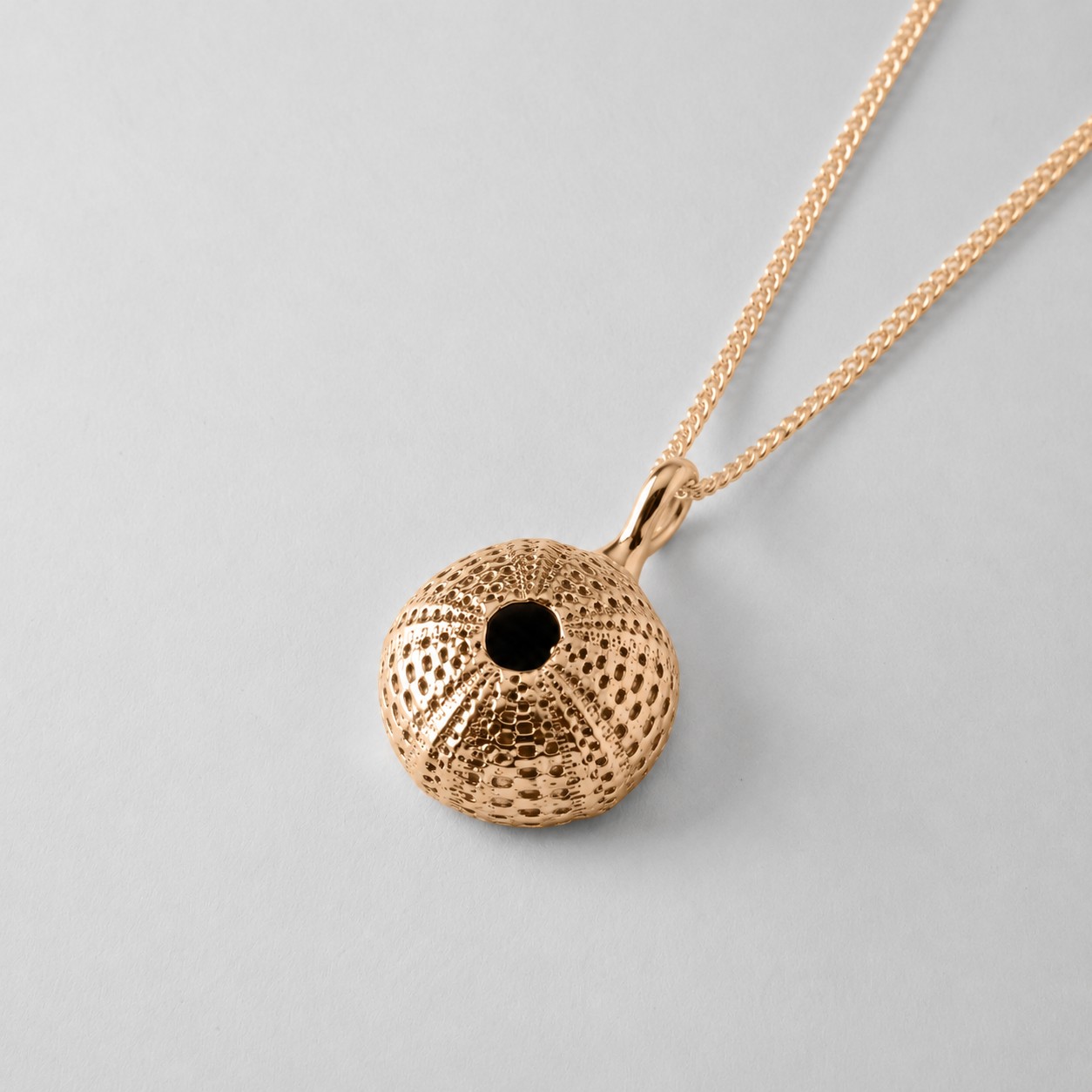 Small Urchin - Image 4