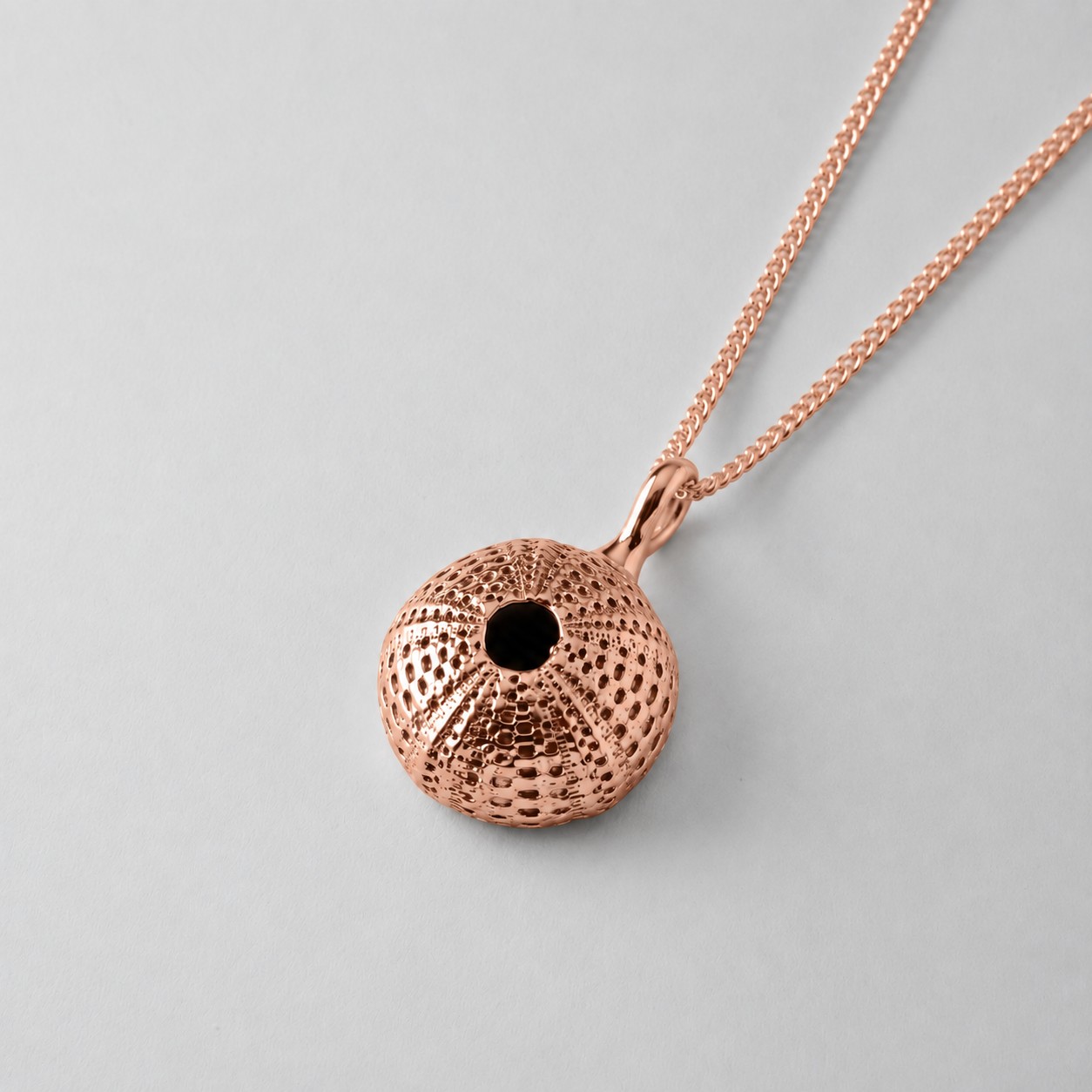Small Urchin - Image 7