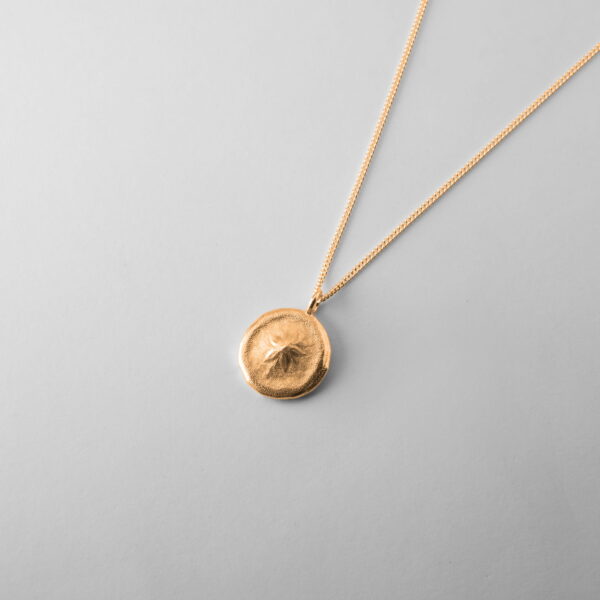 Small Queensland Sand Dollar - Image 3