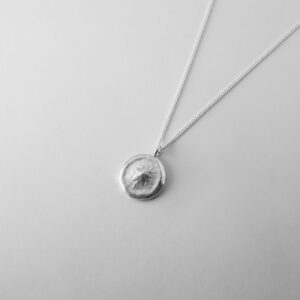 Small Queensland Sand Dollar