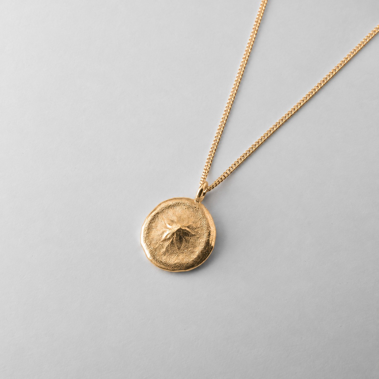 Small Queensland Sand Dollar - Image 4