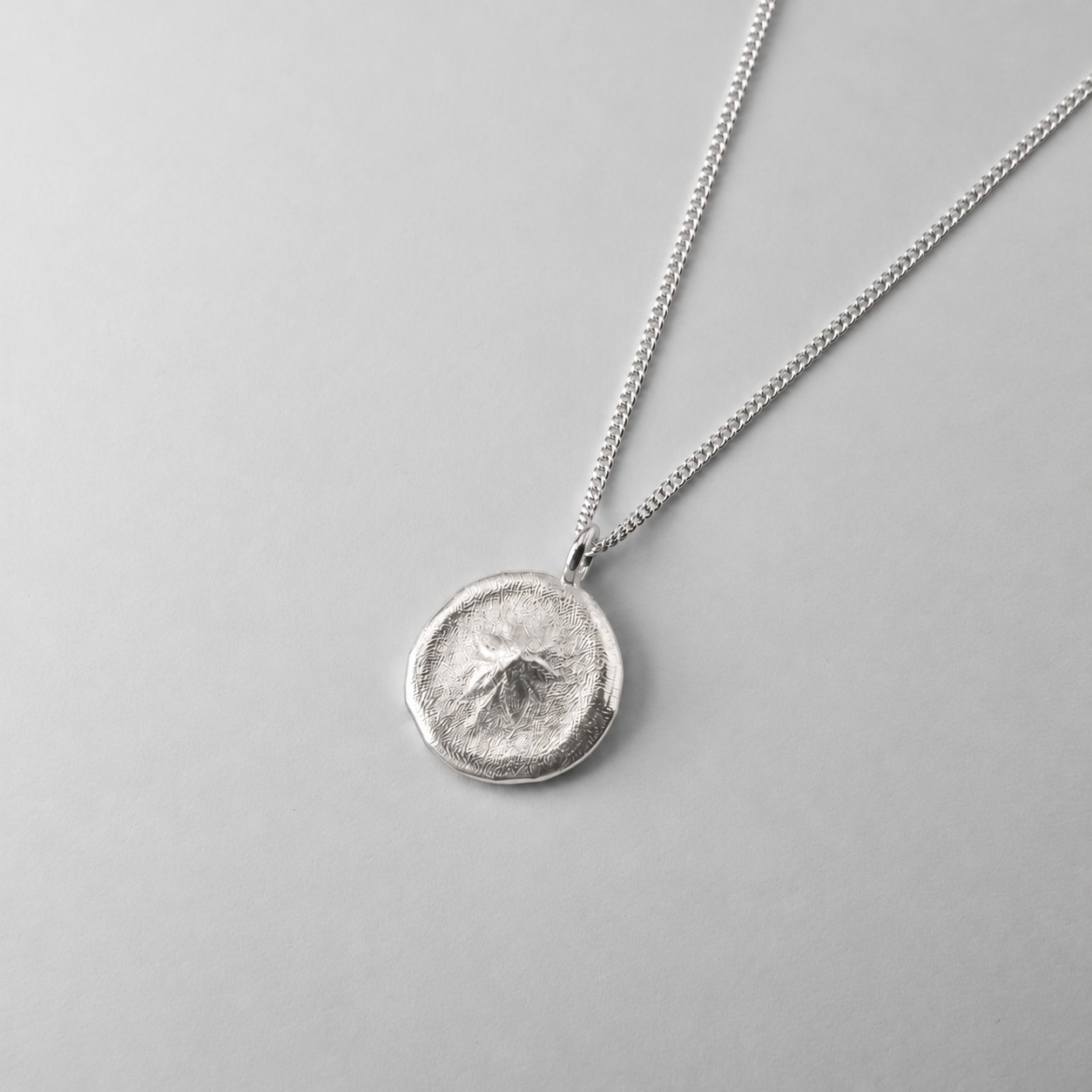 Small Queensland Sand Dollar