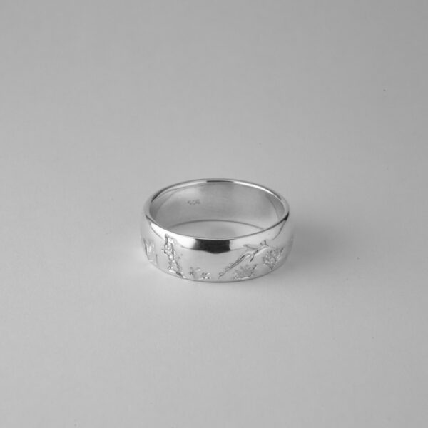 Reef - Image 5