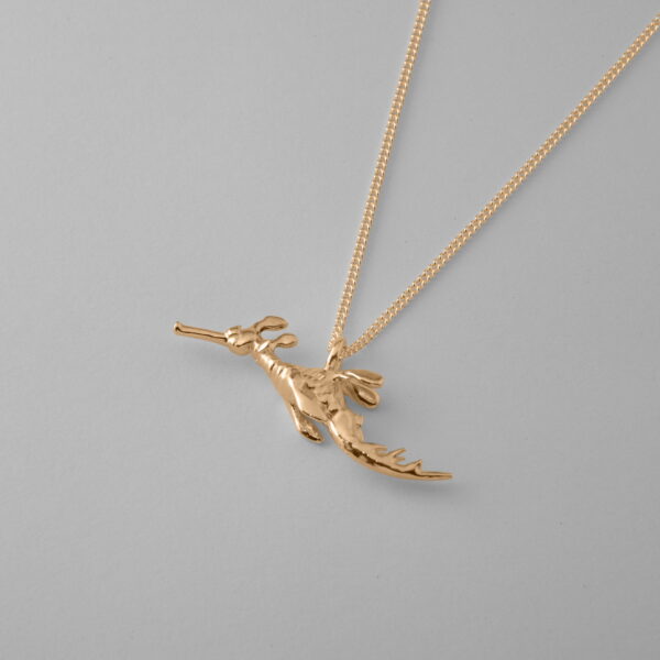 Weedy Sea Dragon - Image 3