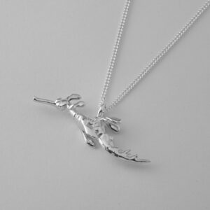 Weedy Sea Dragon