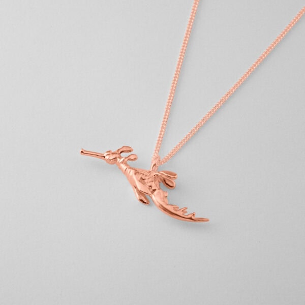 Weedy Sea Dragon - Image 8