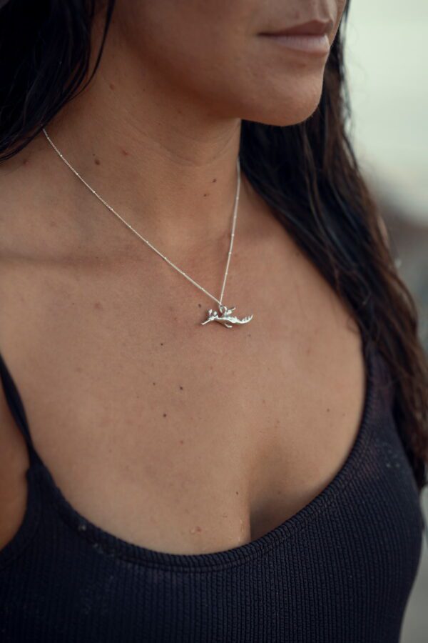Weedy Sea Dragon - Image 6