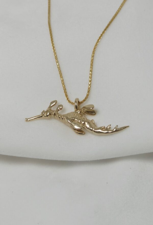 Weedy Sea Dragon - Image 5