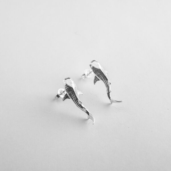 Whale Shark Studs