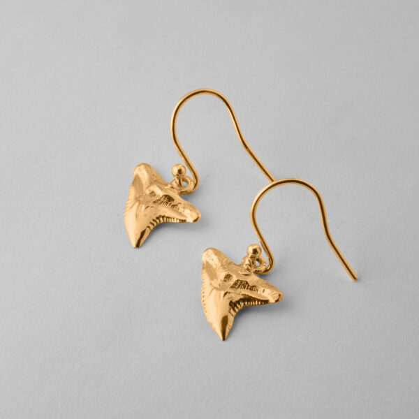 Tiger Shark Tooth Earrings - Image 3