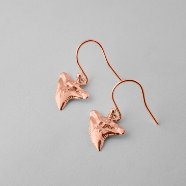 Tiger Shark Tooth Earrings - Image 4