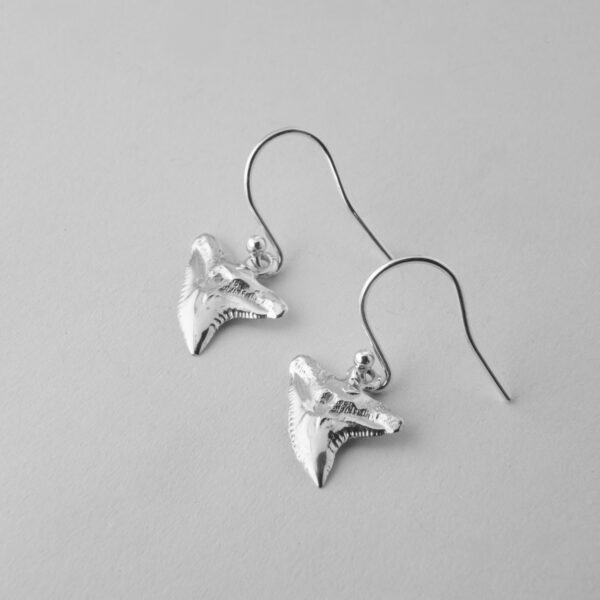 Tiger Shark Tooth Earrings