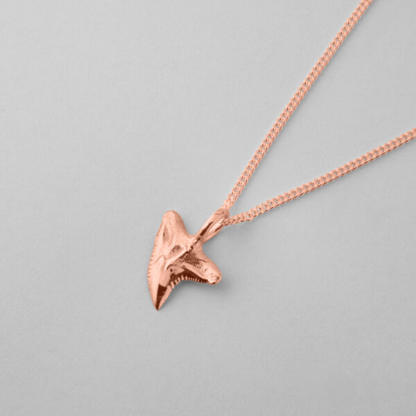 Tiger Shark Tooth - Image 6