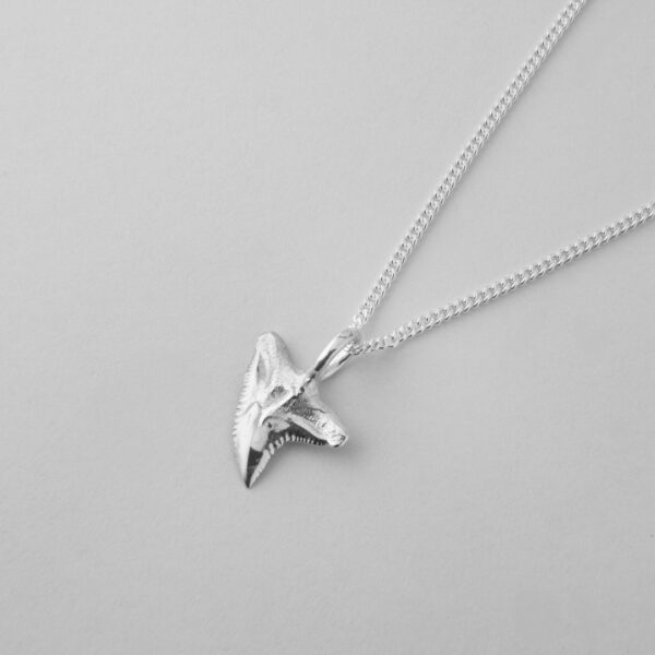 Tiger Shark Tooth