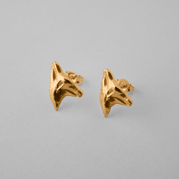 Shark Tooth Studs - Image 2