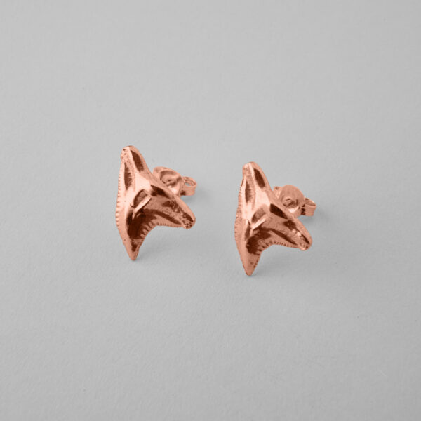 Shark Tooth Studs - Image 3
