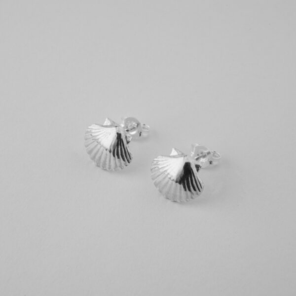 Clam Shell Studs