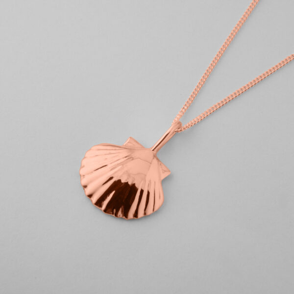 Large Clam Shell - Image 5