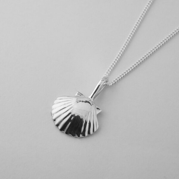 Small Clam Shell