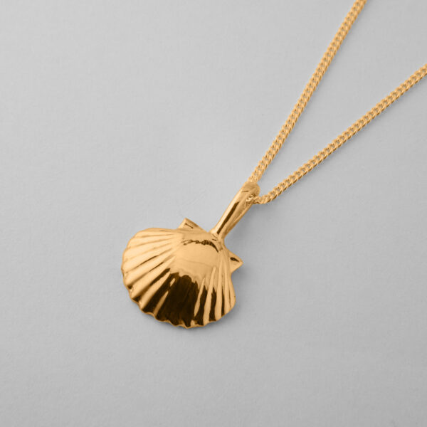 Small Clam Shell - Image 3