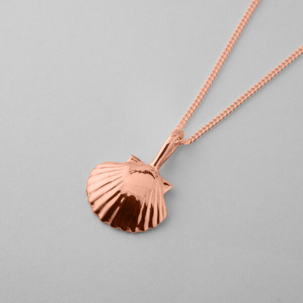 Small Clam Shell - Image 5