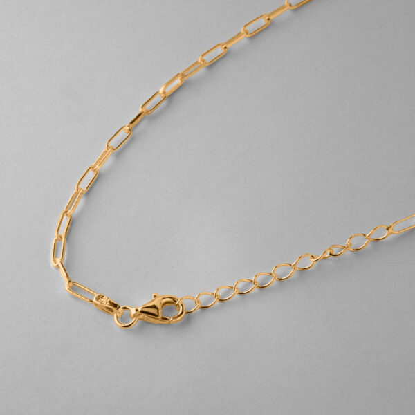 Gold Paperclip chain - Image 2