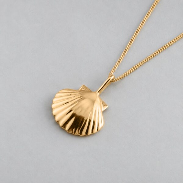 Large Clam Shell - Image 4