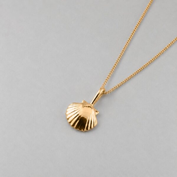 Small Clam Shell - Image 6