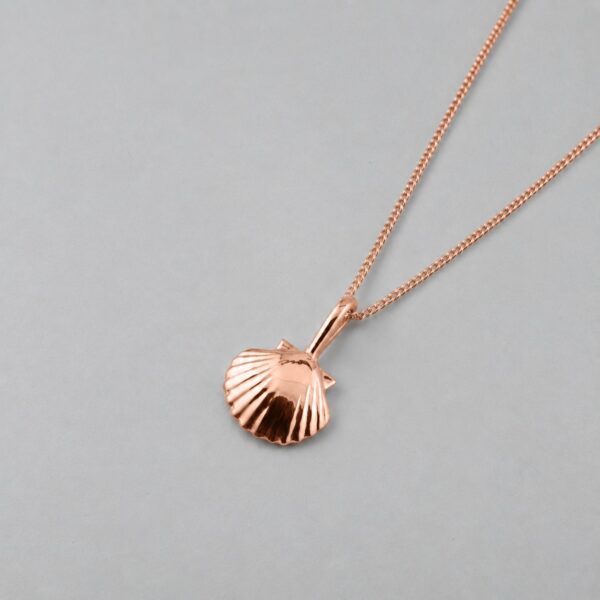 Small Clam Shell