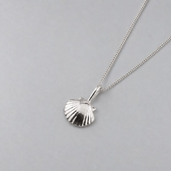 Small Clam Shell - Image 4