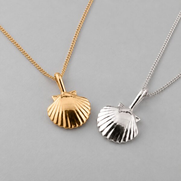 Small Clam Shell - Image 2