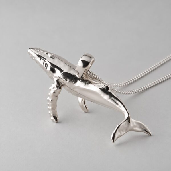 Humpback Whale - Image 5