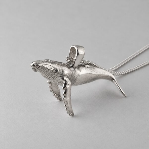Humpback Whale