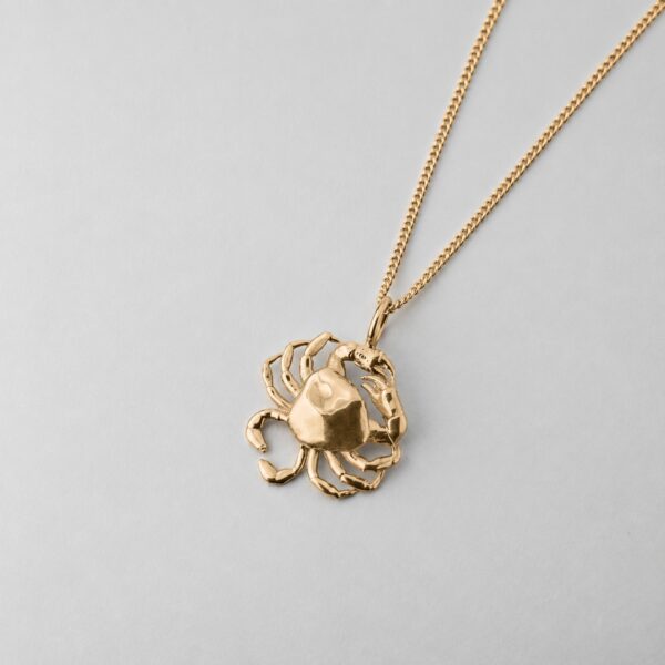 Small Crab - Image 3