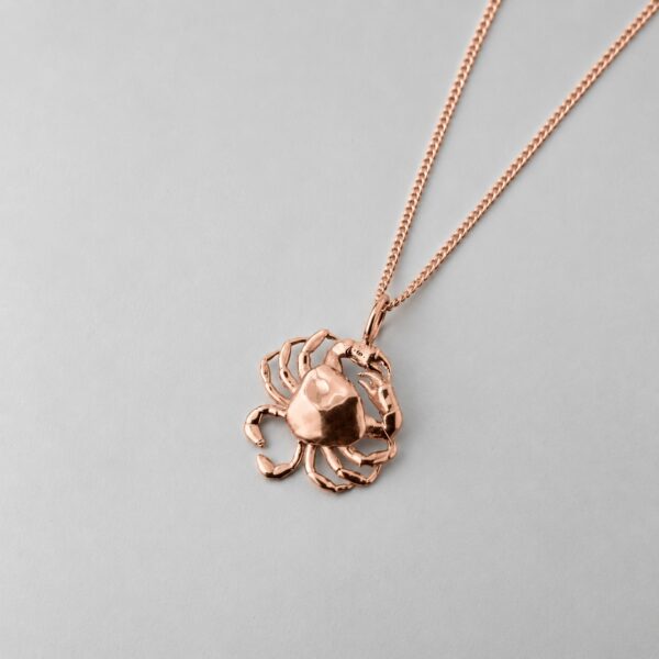 Small Crab - Image 4