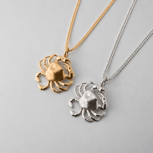 Small Crab - Image 2