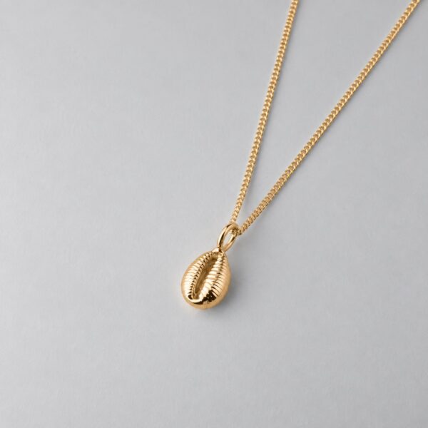 Groatie Buckie Cowrie Shell - Image 5