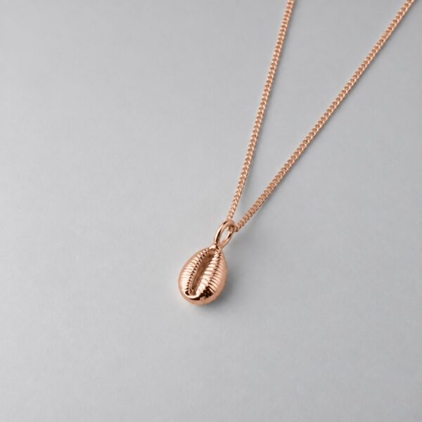 Groatie Buckie Cowrie Shell - Image 7