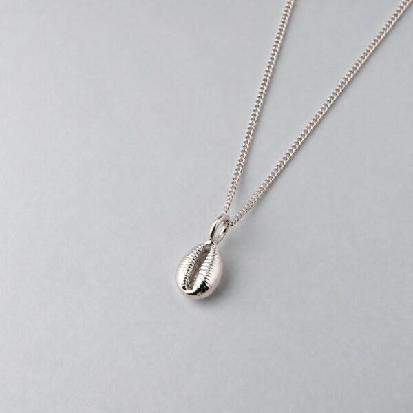 Groatie Buckie Cowrie Shell - Image 3