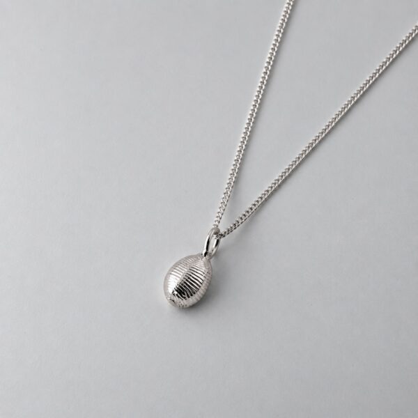 Groatie Buckie Cowrie Shell