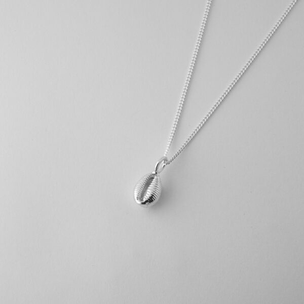 Groatie Buckie Cowrie Shell