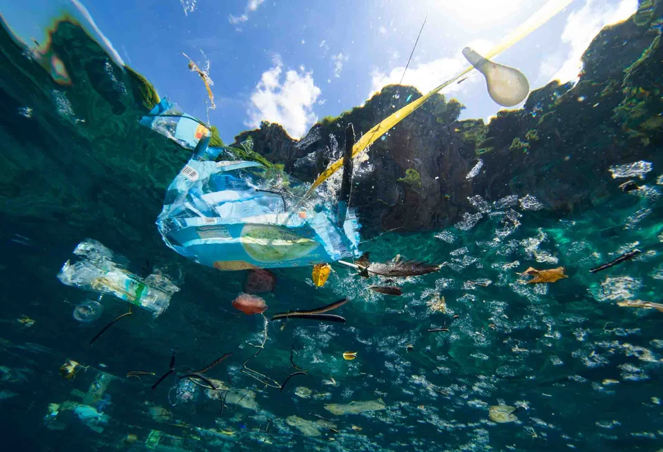 Plastic rubbish floating underwater near a reef