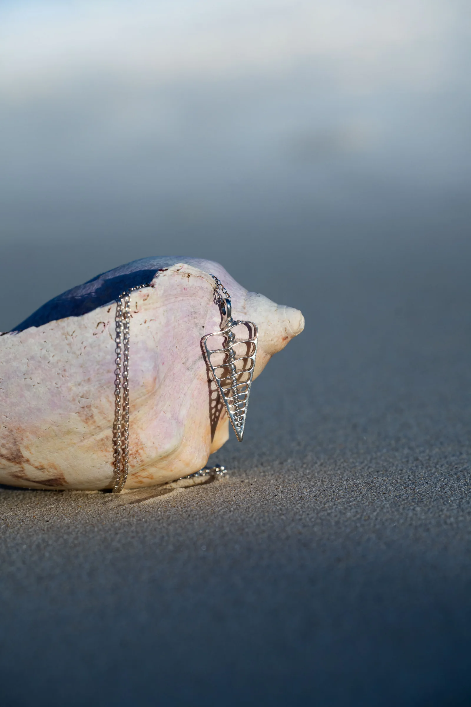 Silver shell pendant resting on a seashell