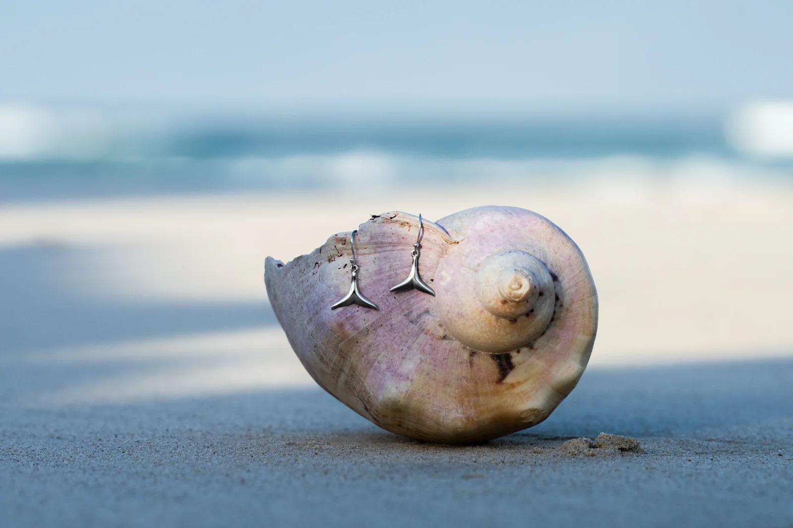 Silver whale-tail earrings on a shell beside the ocean